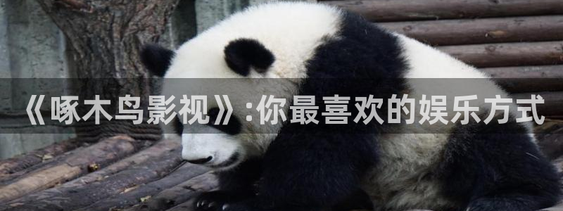 嫩草午夜影院免费久久